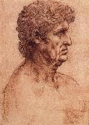 LEONARDO da Vinci Profile of an old man Sweden oil painting reproduction